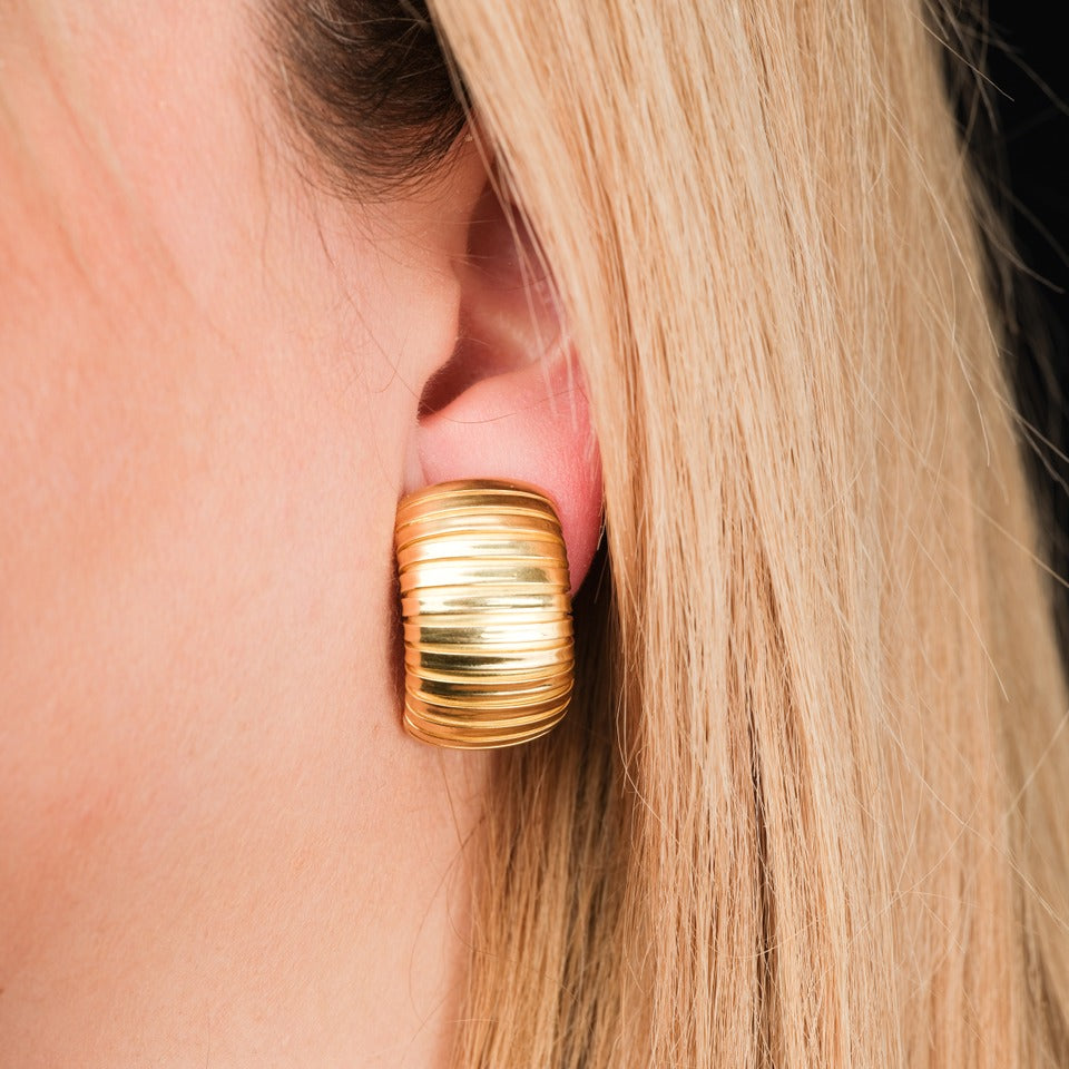 photo-oreille-tara